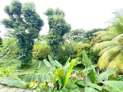 Pasir Panjang Road (D5), Detached #422567021
